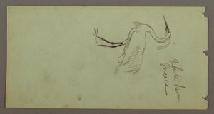 White Heron, possibly 1869 by Frederic Edwin Church