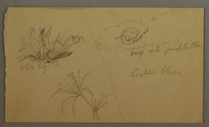 White Lily, Moon, possibly 1865-66