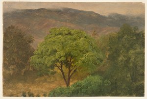 Genip Tree in the Mountains, Jamaica by Frederic Edwin Church