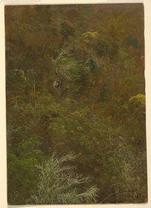 Hillside with Trees, Jamaica by Frederic Edwin Church