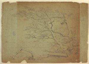 Landscape with Trees and a Stream, Grand Manan Island, Canada