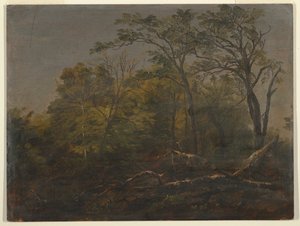 Maine Woods by Frederic Edwin Church