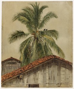 Palm Trees and Housetops, Ecuador by Frederic Edwin Church