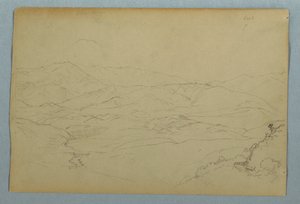 Sketches of Plants and of Part of the Balustrade Bordering the Terrace at the Inn at Guaranda, Ecuador by Frederic Edwin Church