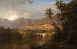 South American Landscape