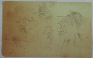 Studies of Tree Tops and Bamboo, Jamaica by Frederic Edwin Church