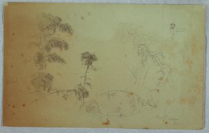 Studies of Trees with Details of Bamboo and a Small Detail of a Man Carrying Bananas on His Head, Bellevue, Jamaica