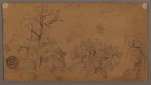 Tree Tops, Niagara