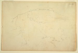 Wooded Hillside, Catskill Mountains