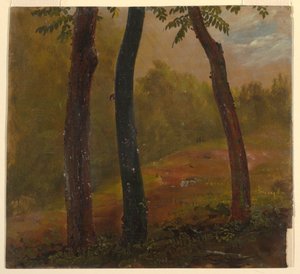Woodland Scene, Jamaica by Frederic Edwin Church