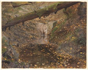 Woodland Stream, Possibly Mt. Desert, Maine by Frederic Edwin Church