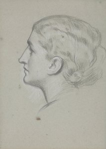 Study of a woman