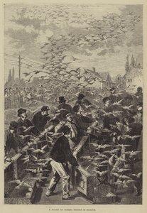 A Flight of Homing Pigeons in Belgium by Frederic Theodore Lix