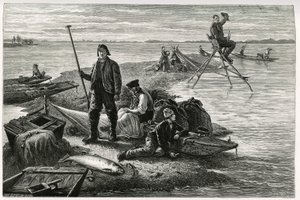 Salmon fishing. Engraving by F.Lix, to illustrate the story 