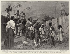 Young Malays Catching Locusts in South Africa, a Scene at the Harbour Board Enclosure at Port Elizabeth