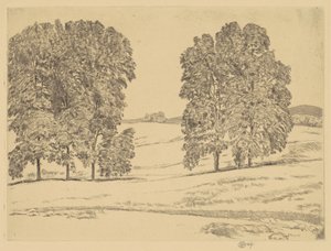 Hickories in a Hayfield, 1917 by Frederick Childe Hassam