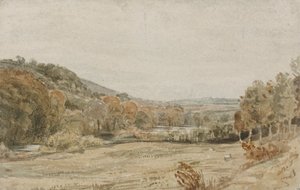 River Tamar, near Endsleigh, Devon