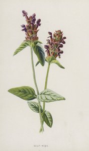 Self-Heal by Frederick Edward Hulme