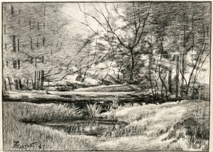 Pool in the Adirondacks by Frederick Eugene Bartlett