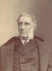 Man with Side Whiskers, 1870s-80s by Frederick Gutekunst