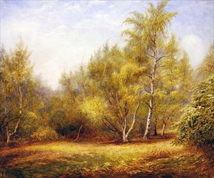 Epping Forest near Buckhurst Hill by Frederick Henry Evans