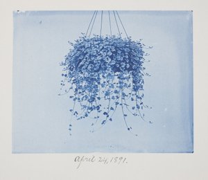 Untitled, April 24