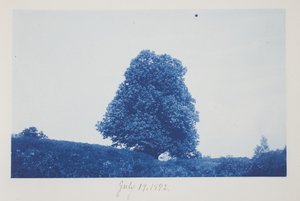 Untitled, July 19
