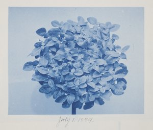 Untitled, July 1