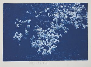 Untitled, May 25