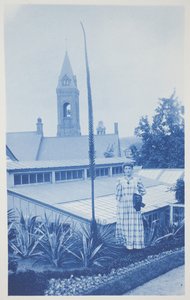 Untitled, late 19th–early 20th century