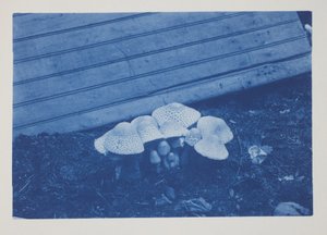 Untitled, late 19th–early 20th century