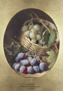 Red and White Grapes by Frederick Thomas Baynes