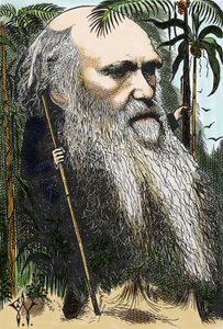Charles Darwin (1809-1882) Caricature by F. Waddy