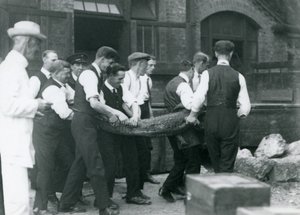 A team of men carrying an Alligator watched over by Sir Peter Chalmers Mitchell, London Zoo, 1924 by Frederick William Bond
