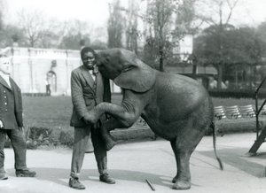 Young African Pygmy Elephant Stands on Her Hind Legs to Embrace Her African Trainer, While the Keeper Looks On, London Zoo, July 1925 by Frederick William Bond