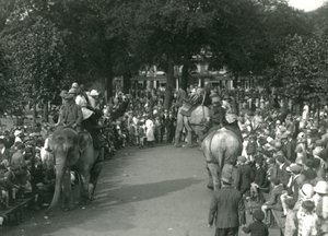 Elephant Rides, with Three Asiatic Elephants Watched by Crowds of Onlookers at London Zoo in August 1926 by Frederick William Bond