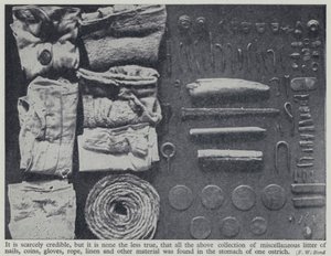 Items found in the stomach of an ostrich