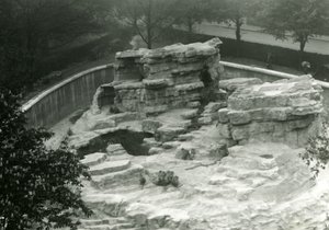 Monkey Hill Seen from the Top of the Mappin Terraces, London Zoo by Frederick William Bond