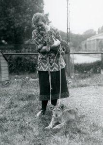 Lion Cubs with Young Woman at London Zoo, August 1925 by Frederick William Bond