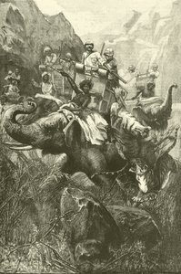 Tiger hunting in India (engraving)
