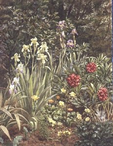 A Corner of the Garden by Frederick William Jackson
