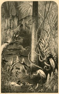 A Florida Swamp, 1872 by Frederick William Quartley