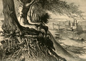 The Savannah, at Augusta