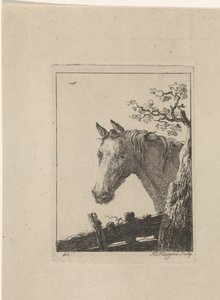 Head of a Horse by Frederik Lodewijk Huygens