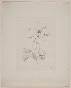 Flower Motif