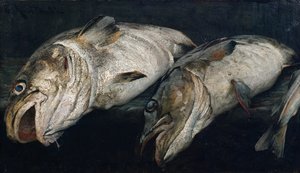 Cod by Fredrik Kolstoe