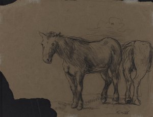 Horses