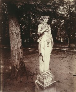 Versailles-Faun