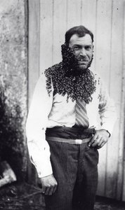 Beekeeper Angel Peuchaud Covered with Bees in Angouleme, Charentes, France by French Photographer