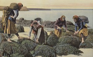 Boulogne-sur-Mer, Types of Mussel Gatherers by French Photographer